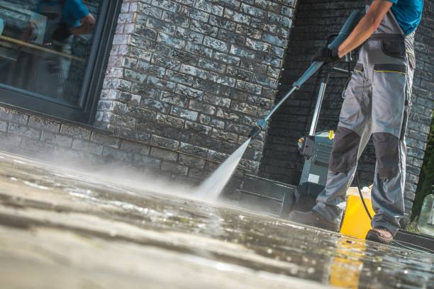 Best Animal Enclosure Cleaning  in Aliso Viejo, CA